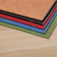 CLAIREFONTAINE AGE BAG bilježnica