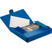 ESSELTE DELSO kutija za odlaganje