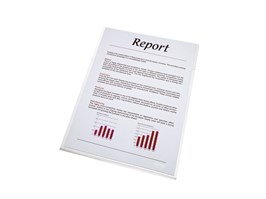 ESSELTE Fascikl pp L sjajni