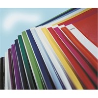 LEITZ Fascikl s euro mehanikom 