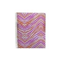 ANCOR Kolegij blok B'LOG ZEBRA.3