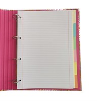 ANCOR Kolegij mapa B'LOG PINK ZEBRA