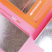 ANCOR Kolegij mapa B'LOG PINK ZEBRA