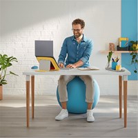 LEITZ Lopta za sjedenje Cosy