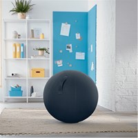 LEITZ Lopta za sjedenje Cosy