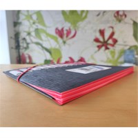 VIQUEL Mapa s pretincima DESIGN 12