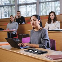 DURABLE MultiBag EFFECT 13"