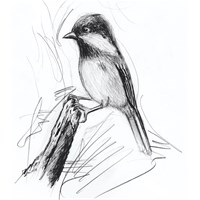 STAEDTLER NORIS grafitna olovka