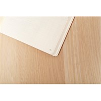 CLAIREFONTAINE Notes EVANESCENCE