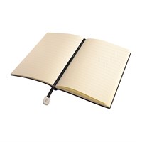 PIERRE CARDIN Notes Reporter