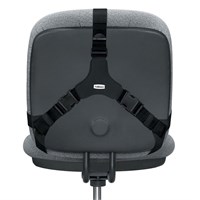 FELLOWES Odmarač za leđa Professional