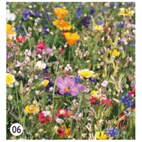 Tvoj Dizajn Papirne trakice za akreditaciju sa sjemenom