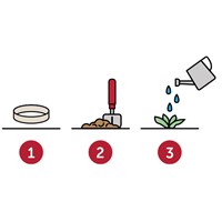 Tvoj Dizajn Papirne trakice za akreditaciju sa sjemenom