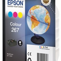 EPSON Patrona za WF-100W