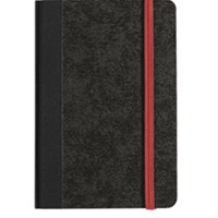 PAGNA Poslovna bilježnica Classica