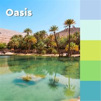 3M Post-it® SS OASIS blokovi