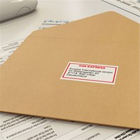 BROTHER QL neprekidna etiketa u roli