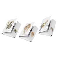 PAGNA Sabirna mapa Save me No.3