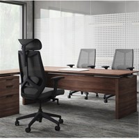 ERGOVISION Stolac SPECTRA