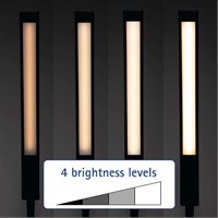 MAUL Stolna LED svjetiljka Pirro