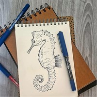 UNI UB-150 Eye Ocean Care roler