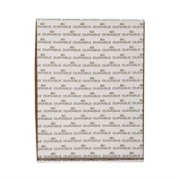 DURABLE Uložni fascikli UR Business A4 sjajni, 48my, 100 kom u kutiji