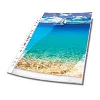 DURABLE Uložni fascikli UR Premium 