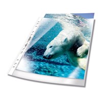 DURABLE Uložni fascikli UR Premium 