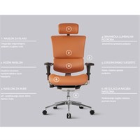 ERGOVISION Uredska stolica SMART DELUXE