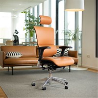 ERGOVISION Uredska stolica SMART DELUXE