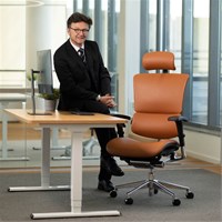 ERGOVISION Uredska stolica SMART DELUXE