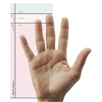 FELLOWES Vertikalni bežični miš Penguin