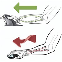 FELLOWES Vertikalni žičani miš Penguin