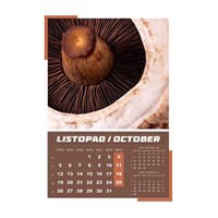 Zidni kalendar IGRE PRIRODE