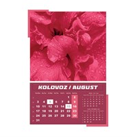 Zidni kalendar IGRE PRIRODE