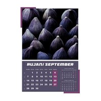 Zidni kalendar IGRE PRIRODE