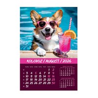 Zidni kalendar KUĆNI LJUBIMCI