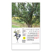 Zidni kalendar LJEKOVITO BILJE