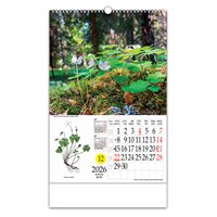 Zidni kalendar LJEKOVITO BILJE