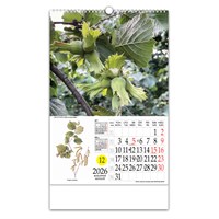 Zidni kalendar LJEKOVITO BILJE