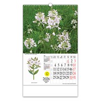 Zidni kalendar LJEKOVITO BILJE