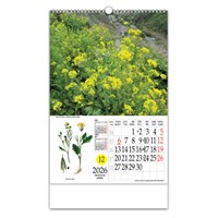 Zidni kalendar LJEKOVITO BILJE