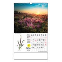 Zidni kalendar LJEKOVITO BILJE
