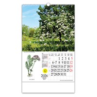 Zidni kalendar LJEKOVITO BILJE