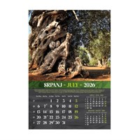 Zidni kalendar MASLINE