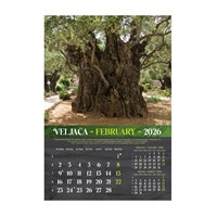 Zidni kalendar MASLINE